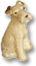 }j[eA